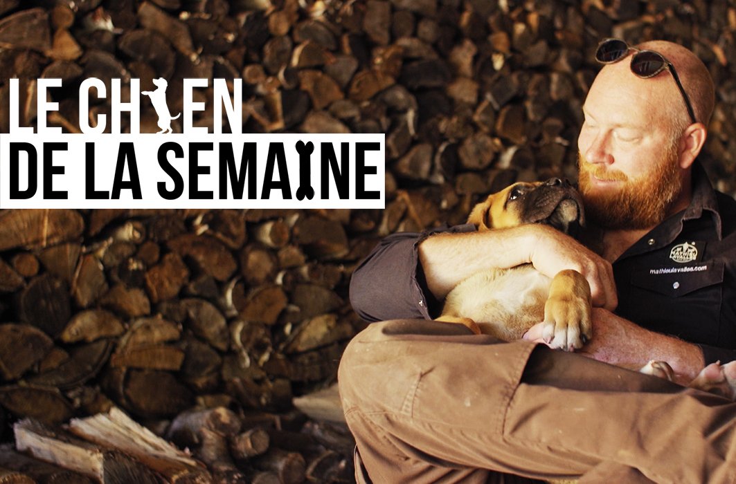 Jacques, le chien de la semaine, et son maître Mathieu Lavallée.
