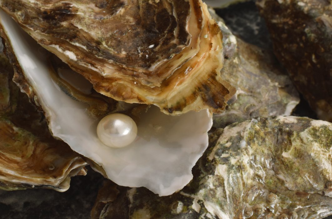 Les perles en cinq nombres étonnants Les perles en cinq nombres étonnants