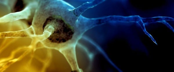 À ne pas manquer cet automne sur Explora