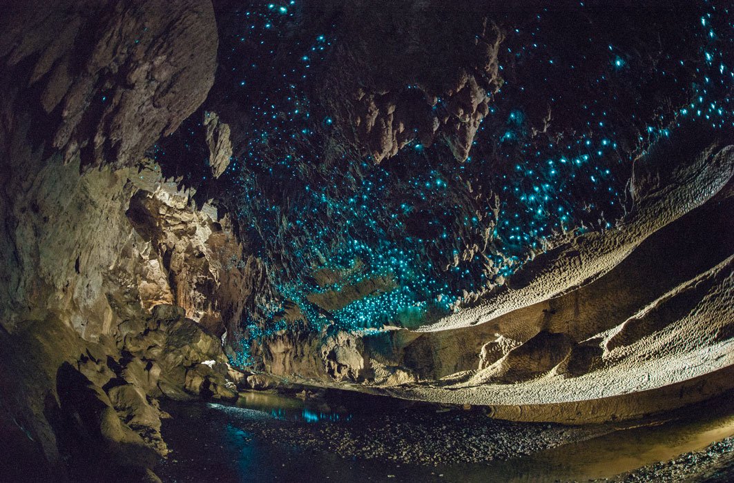 Des vers luisants dans une grotte de la Nouvelle-Zélande.