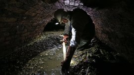 Ces monstres qui peuplent nos égouts