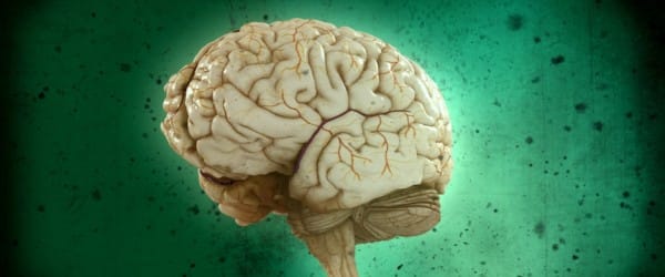 Un cerveau qui joue des tours... tout comme Luc Langevin! Un cerveau qui joue des tours... tout comme Luc Langevin!