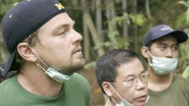 Des vedettes d’Hollywood qui luttent pour l’environnement