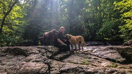 Une école pour concrétiser la formation des spécialistes en comportements canins?