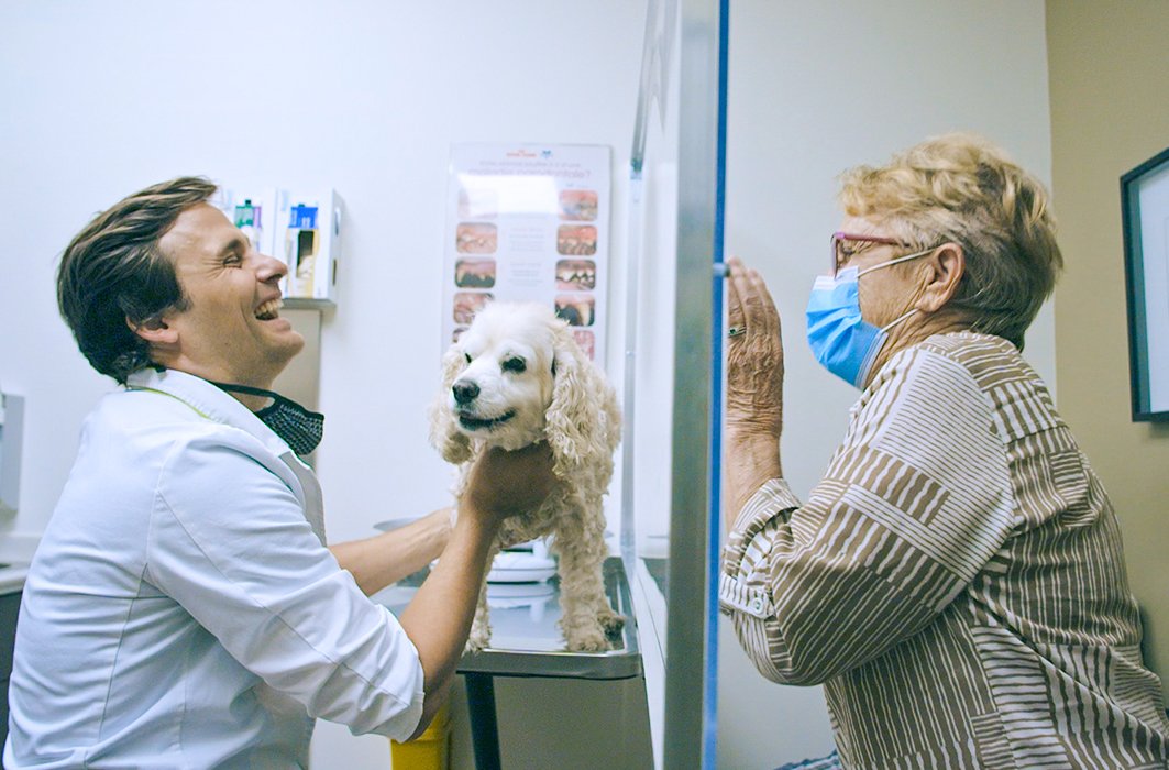 Une pandémie qui affecte aussi les animaux : entrevue avec le Dr Sébastien Kfoury