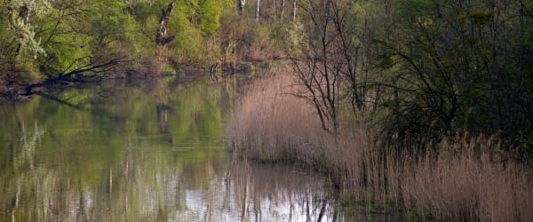 Eau : les grands gaspilleurs