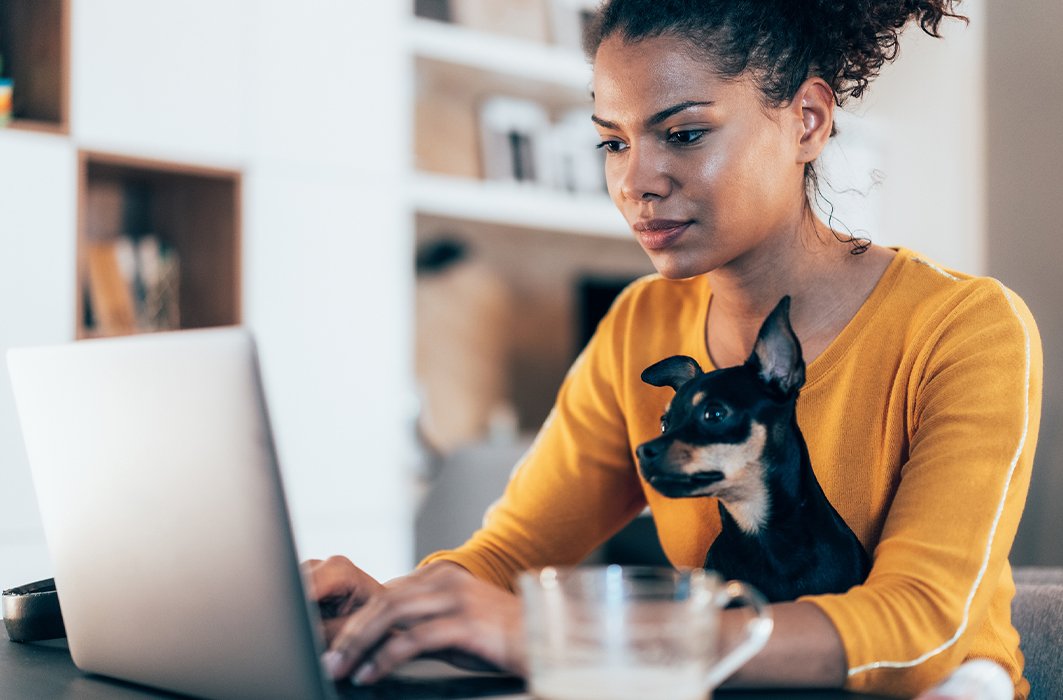 Des outils pour une navigation plus efficace sur le web