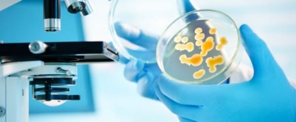 Vos microbes indiscrets