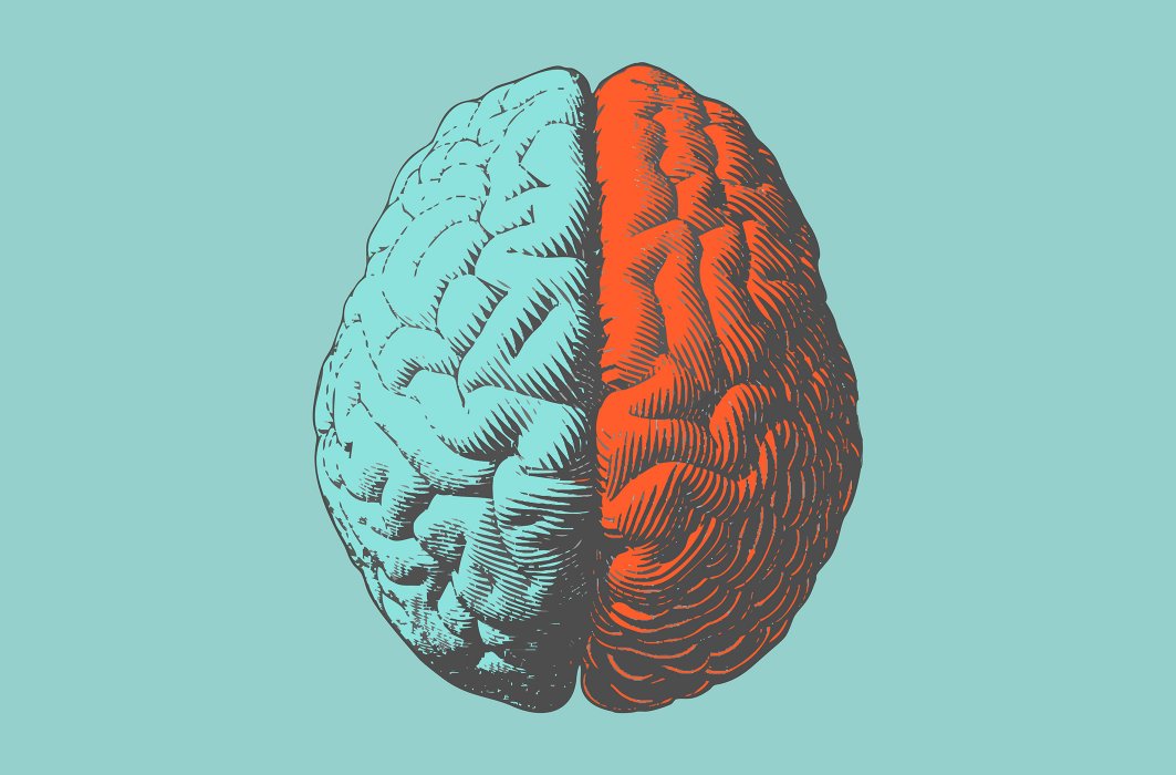5 faits fascinants sur le cerveau