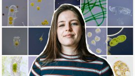 L’univers du minuscule sous le microscope de Chloé Savard