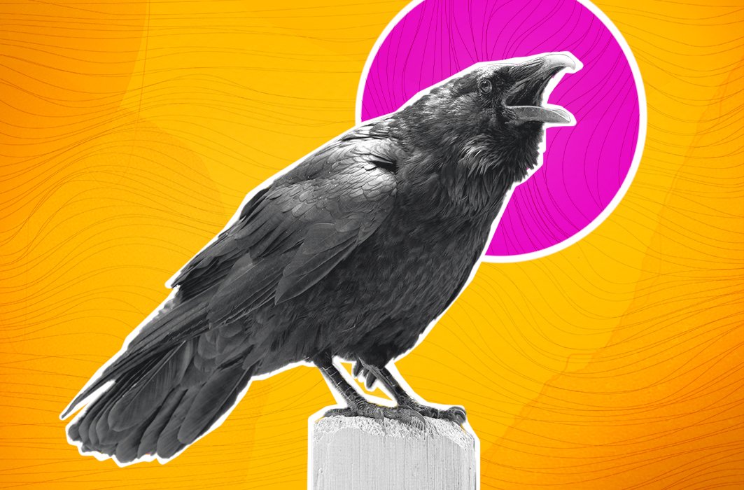 Un corbeau Un corbeau