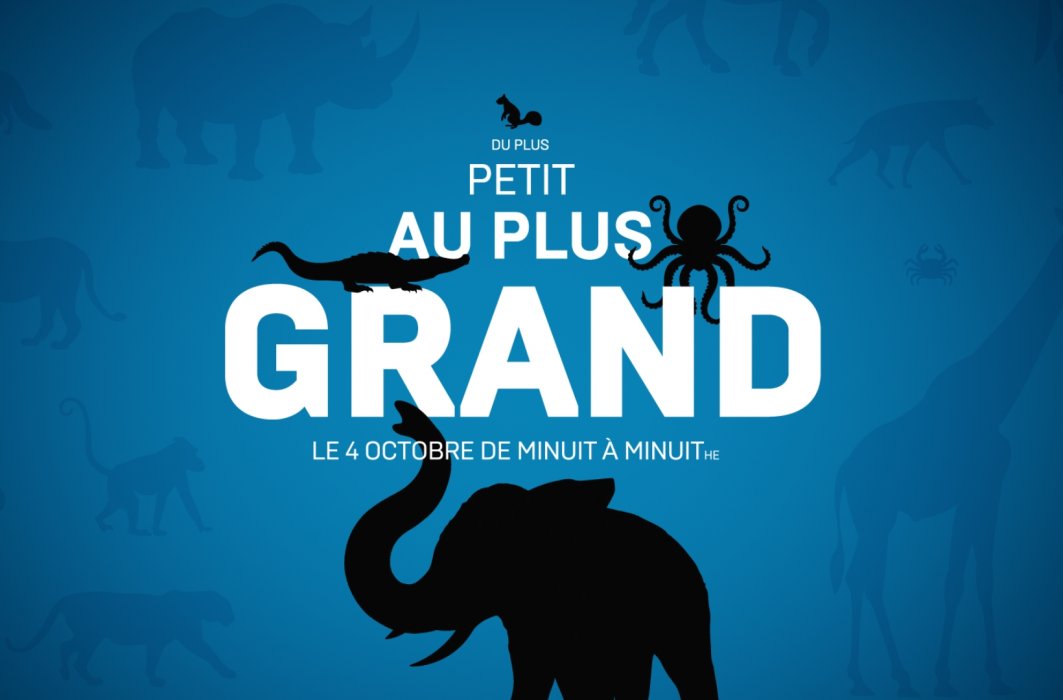 Journée mondiale des animaux : ICI Explora célèbre en petit… et en grand! Journée mondiale des animaux : ICI Explora célèbre en petit… et en grand!