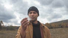 L’asclépiade pour braver le froid