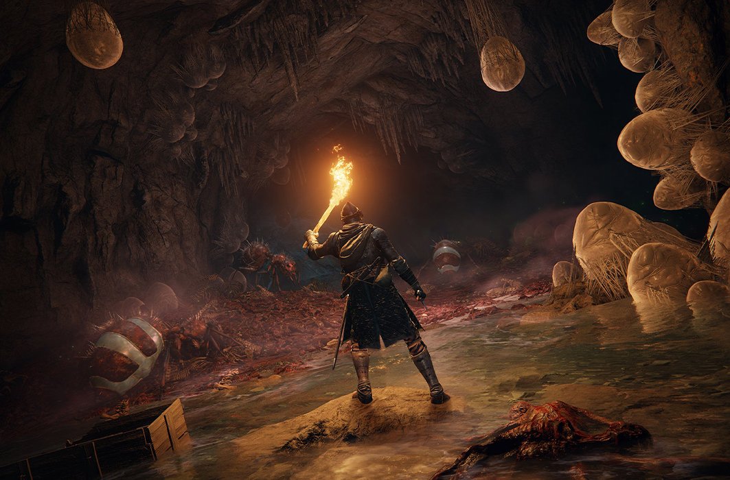 Une image tirée du jeu Elden Ring Une image tirée du jeu Elden Ring