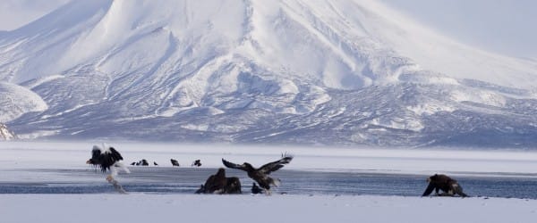 Des communautés arctiques en mutation Des communautés arctiques en mutation