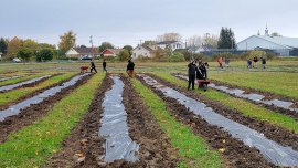 Foresti Fruits : un parc fruitier pour l'école secondaire de Trois-Pistoles