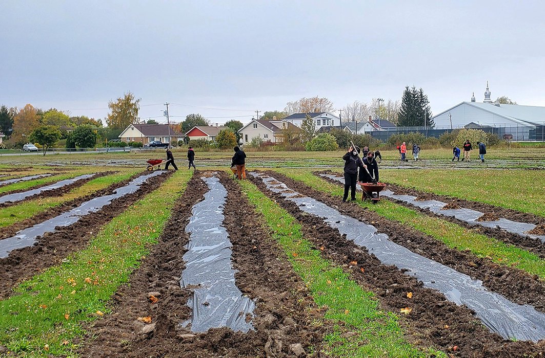 Des élèves de l'école de Trois-Pistoles plantent des arbres dans un verger collectif.