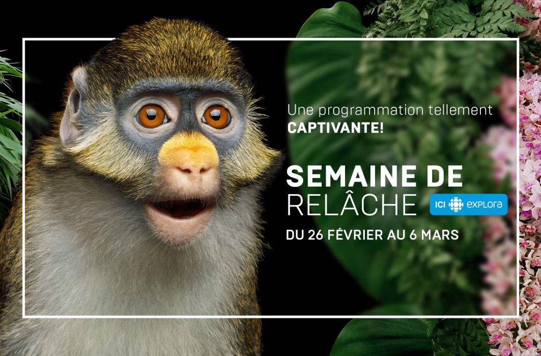 Relâche : découvrez notre programmation spéciale