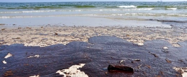 Lutter contre les marées noires de façon écologique  