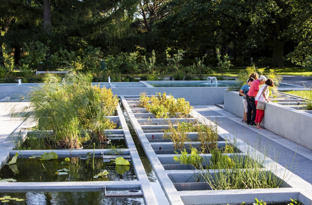 Une famille penchée devant un bassin de phytotechnologie