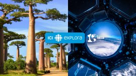 ICI EXPLORA célèbre la planète avec une curiosité sans limite pour ses 10 ans!