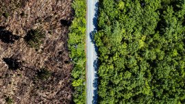 Protéger les forêts à l’ère de la crise climatique