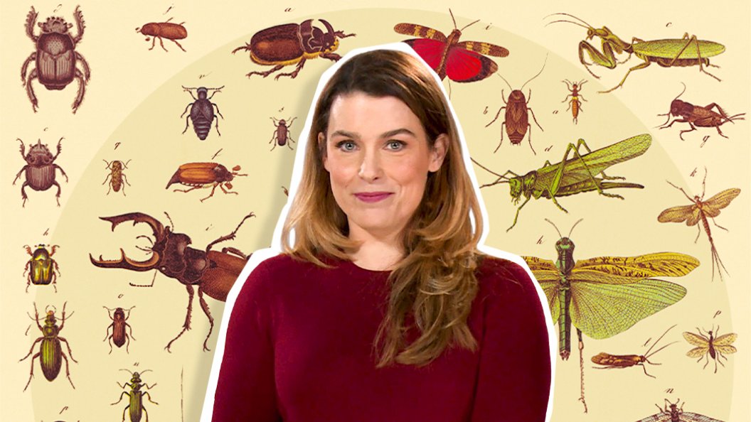 Marie-Pier Elie nous explique sa fascination pour les insectes