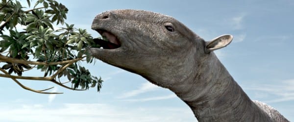 Les dinosaures, des animaux à sang chaud?