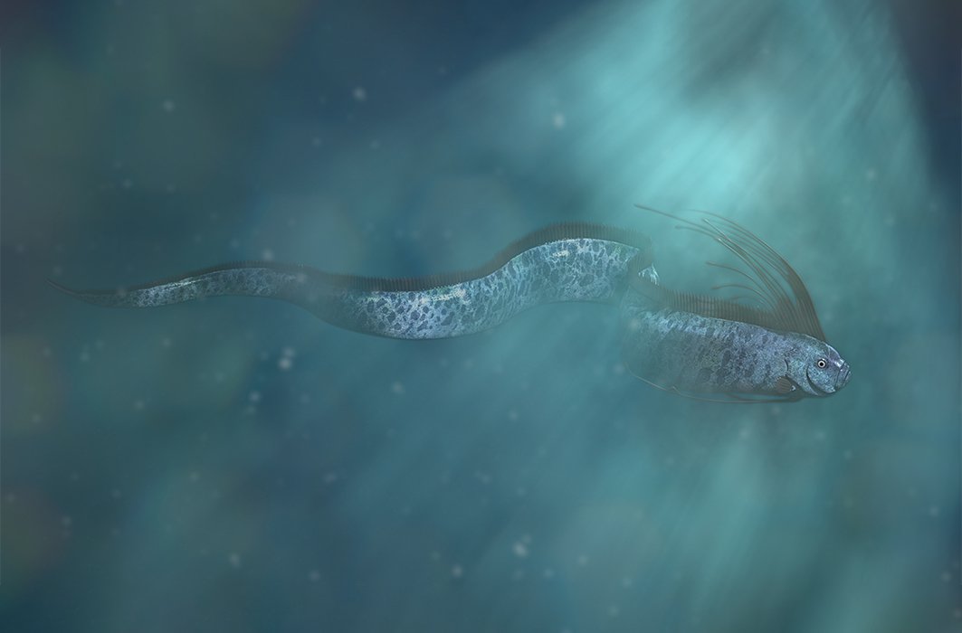 Une illustration de régalec dans les profondeurs de l'océan.