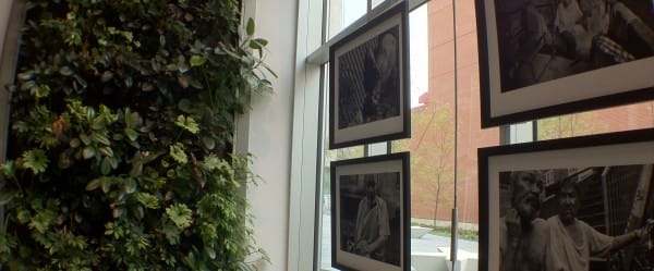 Inauguration du Centre d'interprétation sur le bâtiment durable