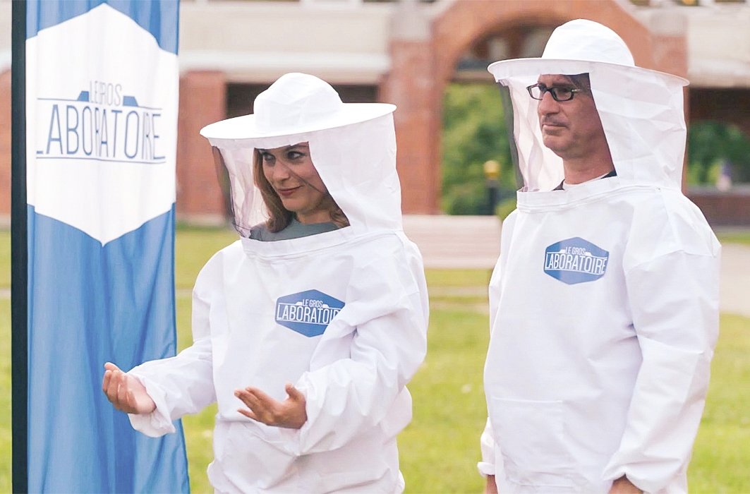 Est-ce que la musique peut repousser les moustiques?