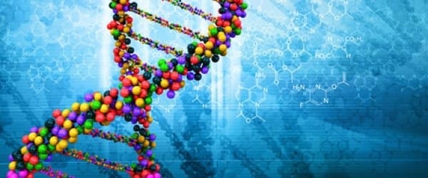 Une histoire de fléchettes dans le noir