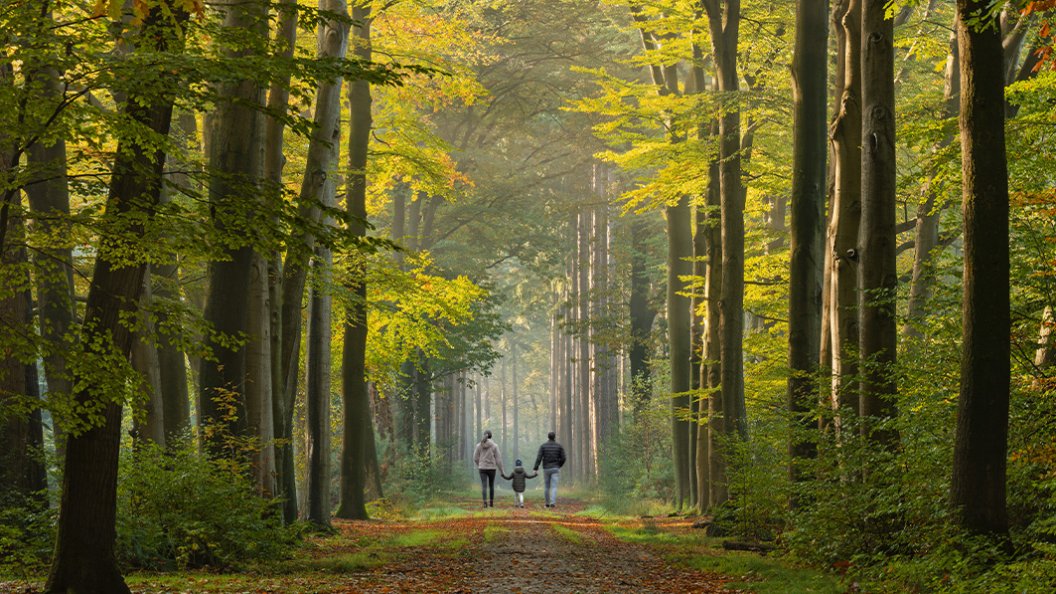 5 bonnes raisons d’aller marcher