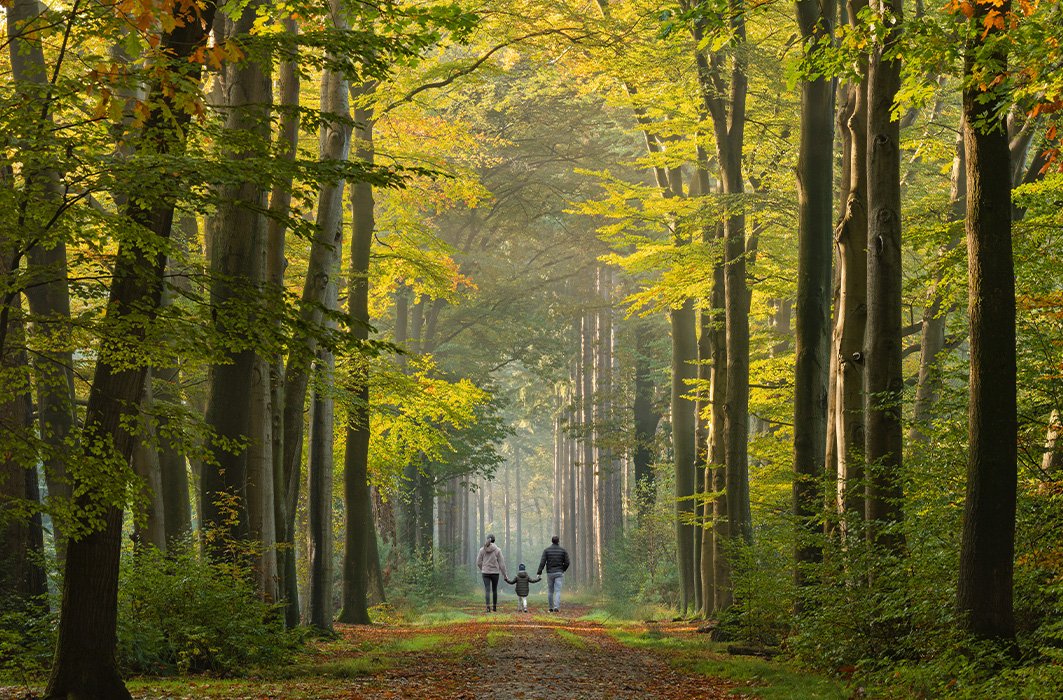 Une famille marche dans la forêt.