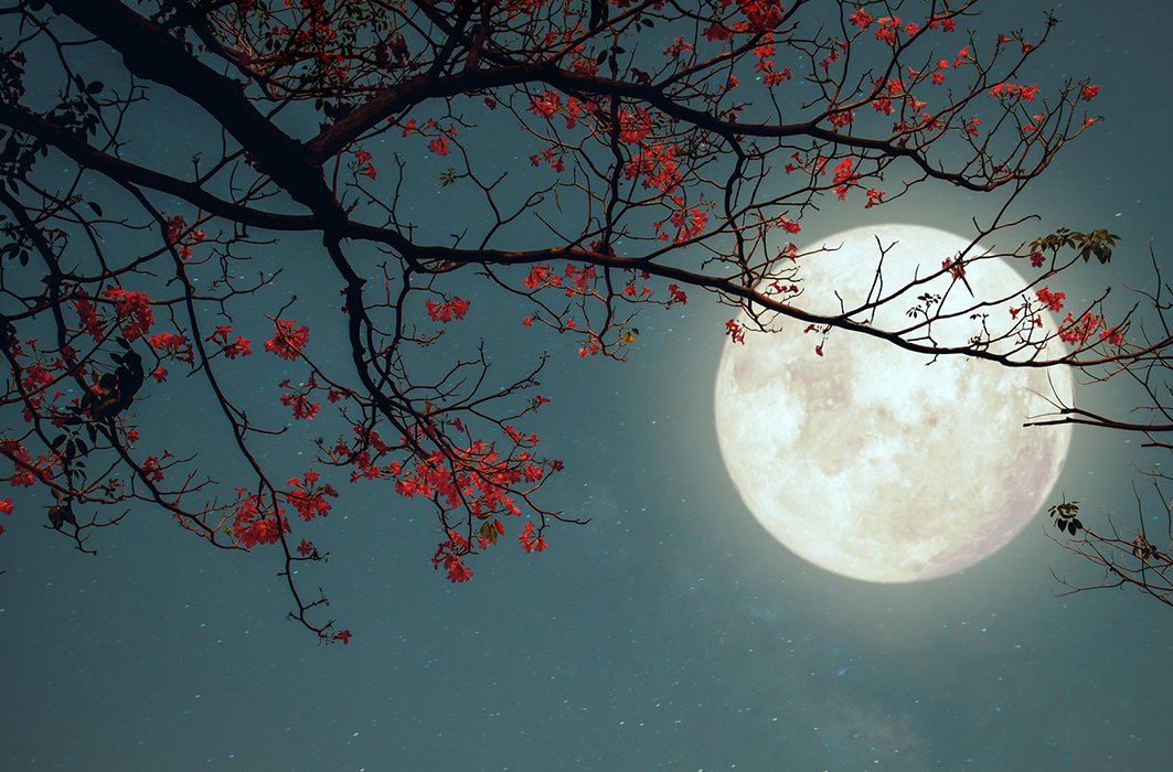 Il y a plus de naissances les nuits de pleine lune : mythe ou réalité