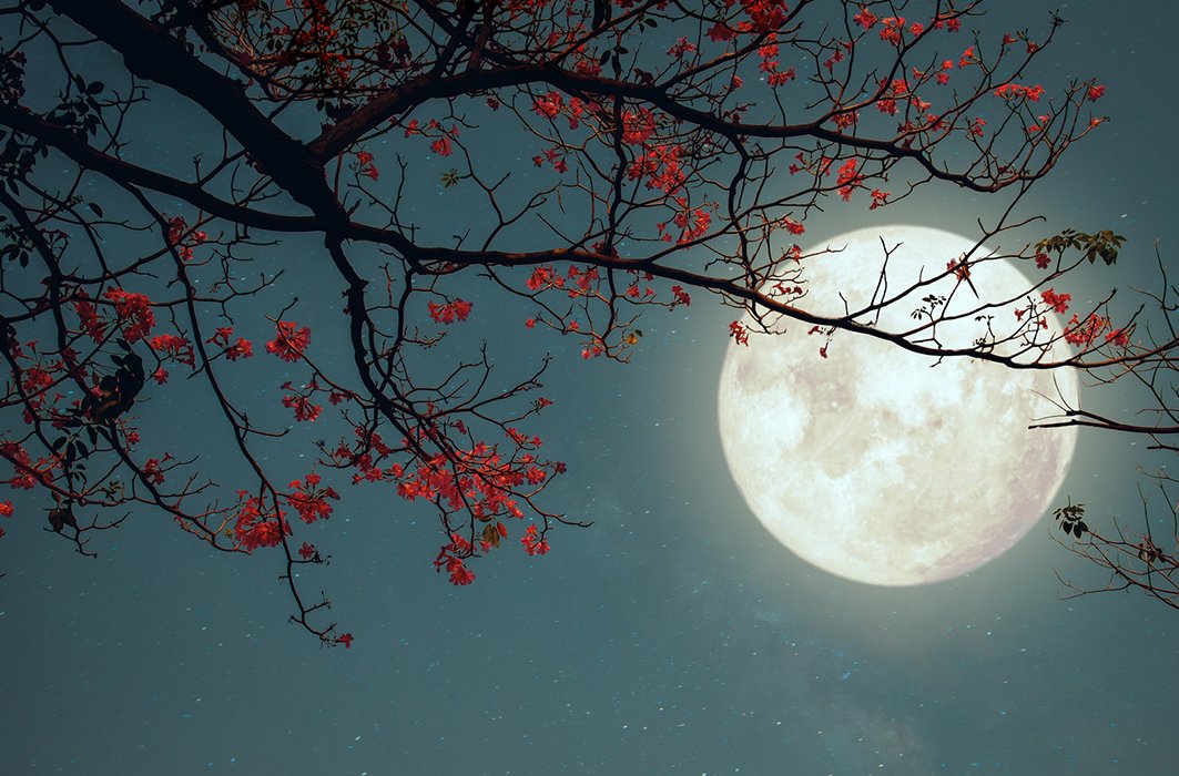 Il y a plus de naissances les nuits de pleine lune : mythe ou réalité?