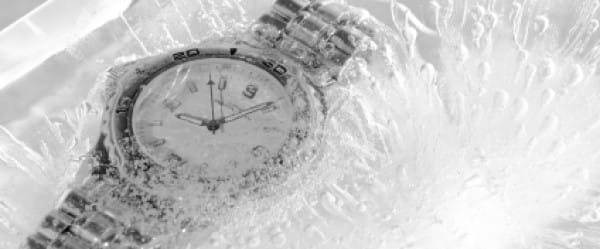 L'immortalité au congélateur