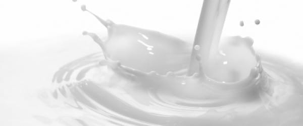 Du lait pour les intolérants au lactose?