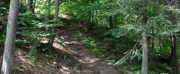 Naissance d'un éco-hameau forestier, solidaire et autonome dans Lanaudière