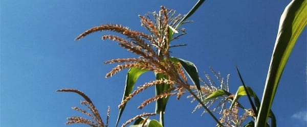 Le climat vu par la Banque mondiale Le climat vu par la Banque mondiale