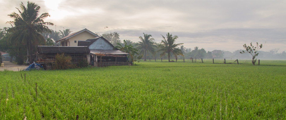 La vie de fermier aux Philippines