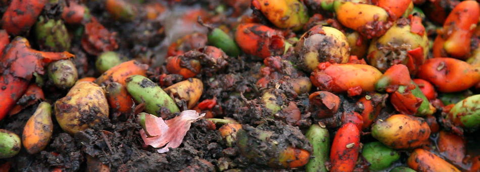 La décomposition démystifiée La décomposition démystifiée