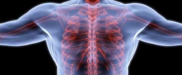 Le robot qui imite la nature