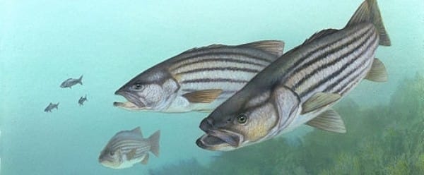 Il est de retour Il est de retour