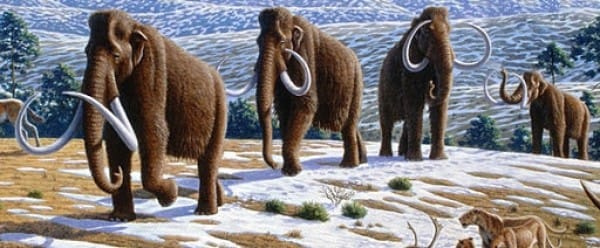 Faire revivre des espèces disparues grâce au clonage