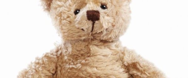 Jamais sans mon toutou Jamais sans mon toutou