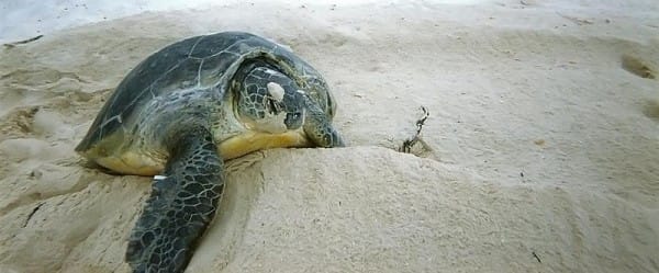 Changer de position pour changer de sexe Changer de position pour changer de sexe