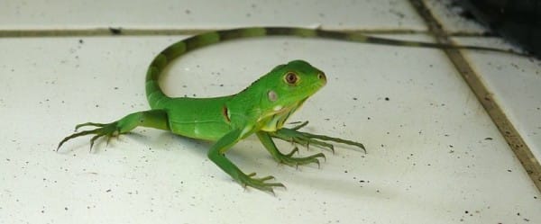 Un emprisonnement de 23 millions d'années