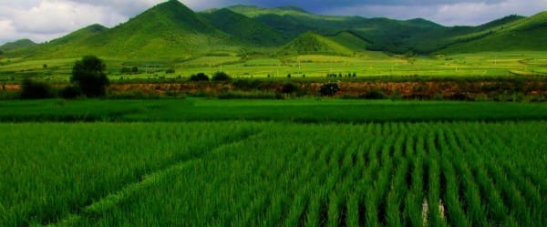 La crise alimentaire n'a jamais pris fin