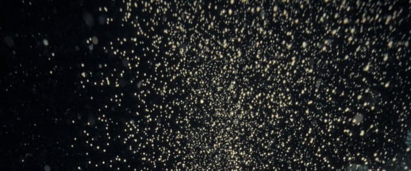 La lévitation par le son La lévitation par le son